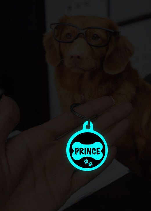 Prince | Dog Tag | Glow in Dark
