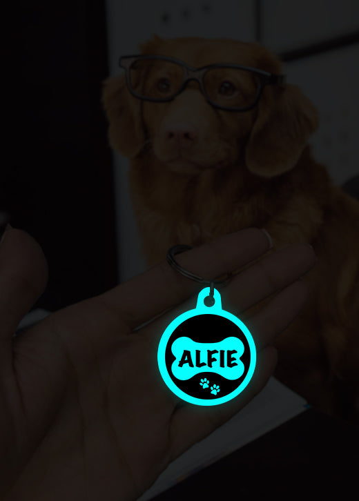 Alfie | Dog Tag | Glow in Dark