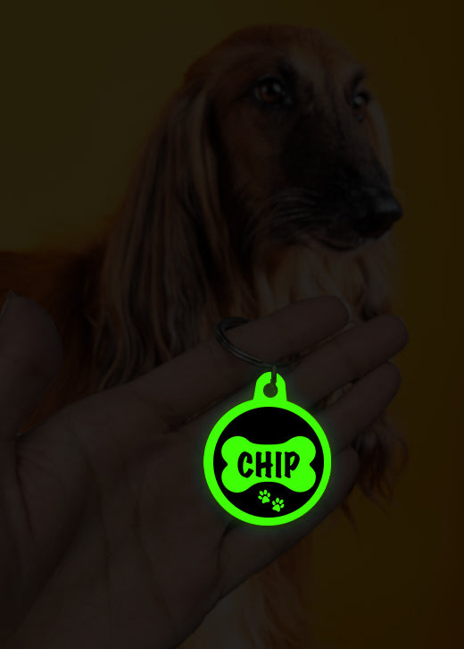 Chip Dog Tag Glow in Dark Mi Glow Store