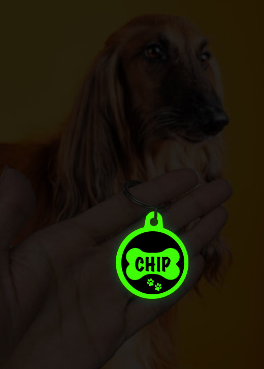 Chip | Dog Tag | Glow in Dark