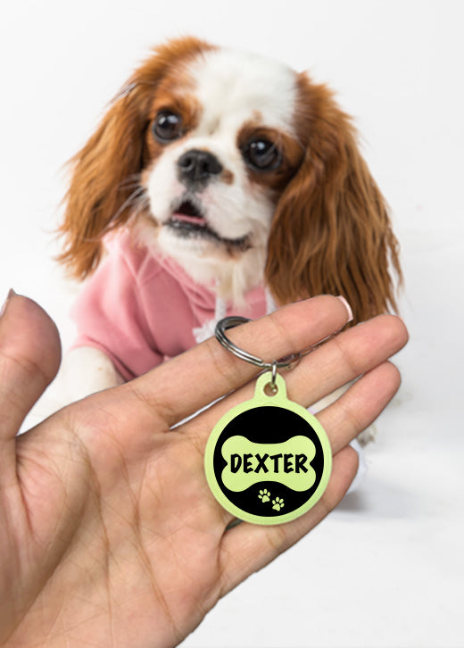 Dexter | Dog Tag | Glow in Dark – Mi Glow Store