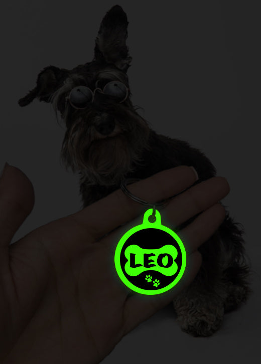 Leo | Dog Tag | Glow in Dark
