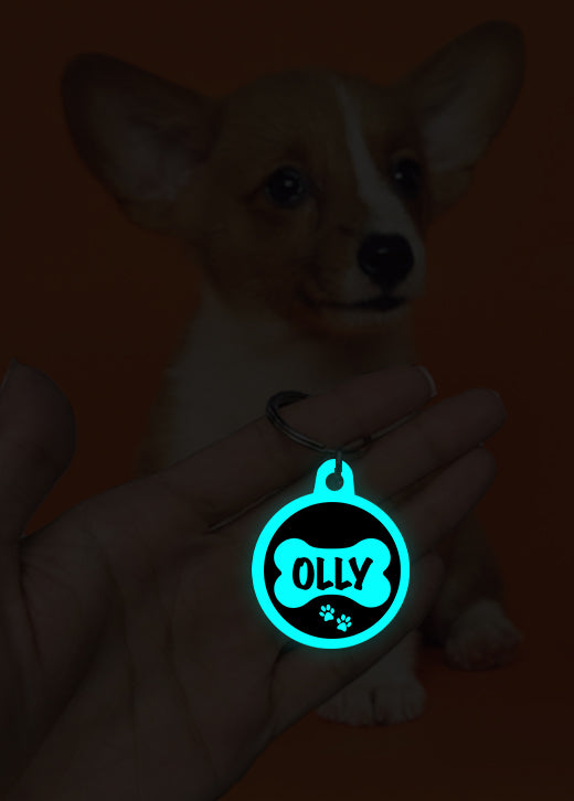 Olly | Dog Tag | Glow in Dark
