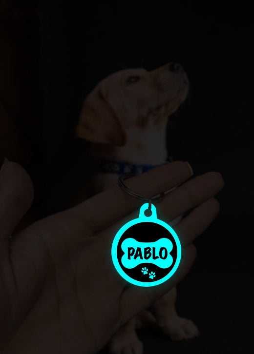Pablo | Dog Tag | Glow in Dark