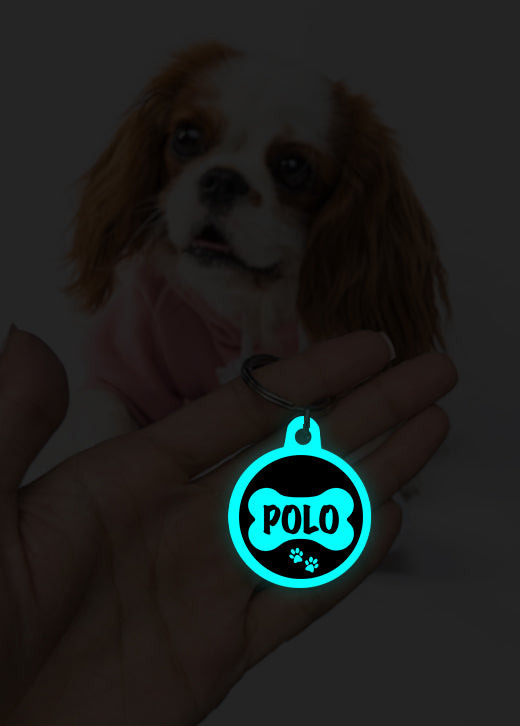 Polo | Dog Tag | Glow in Dark