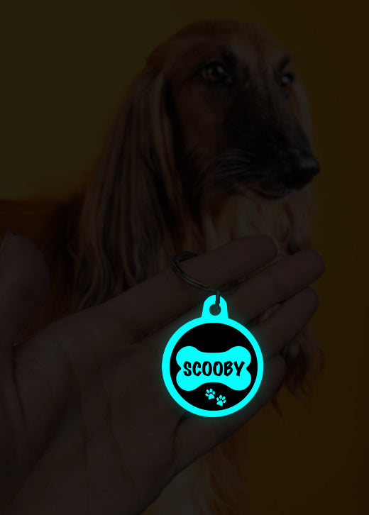 Scooby | Dog Tag | Glow in Dark