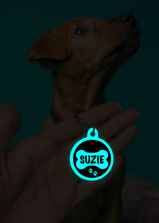 Suzie | Dog Tag | Glow in Dark