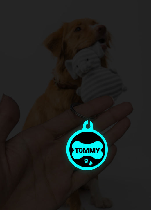 Tommy | Dog Tag | Glow in Dark